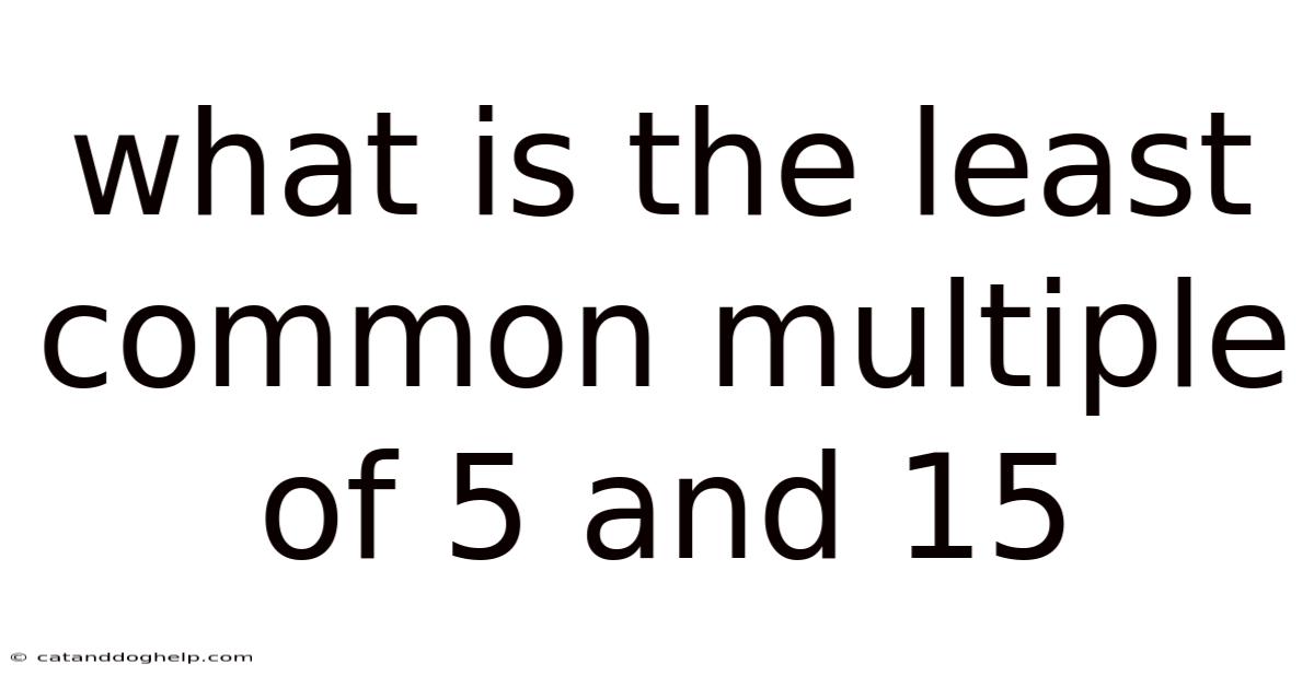 What Is The Least Common Multiple Of 5 And 15