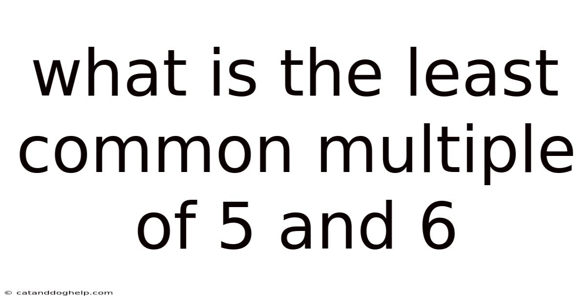 What Is The Least Common Multiple Of 5 And 6