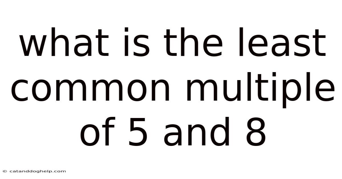 What Is The Least Common Multiple Of 5 And 8