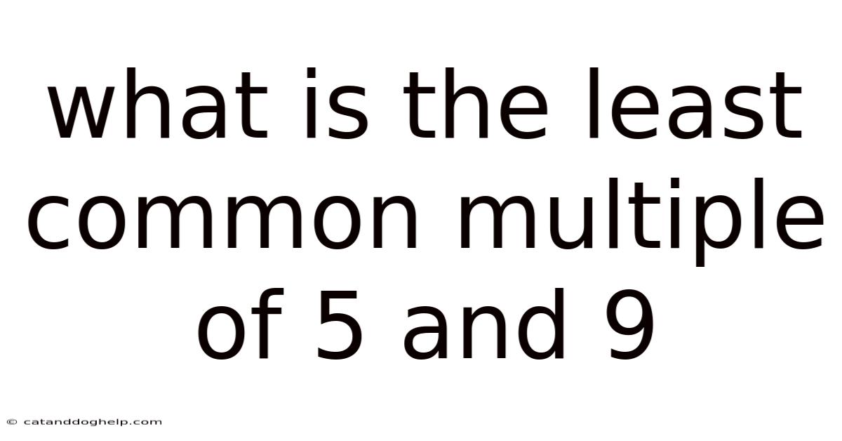 What Is The Least Common Multiple Of 5 And 9