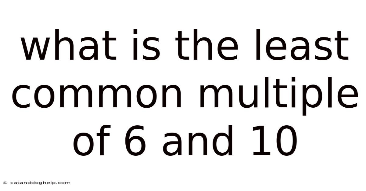 What Is The Least Common Multiple Of 6 And 10
