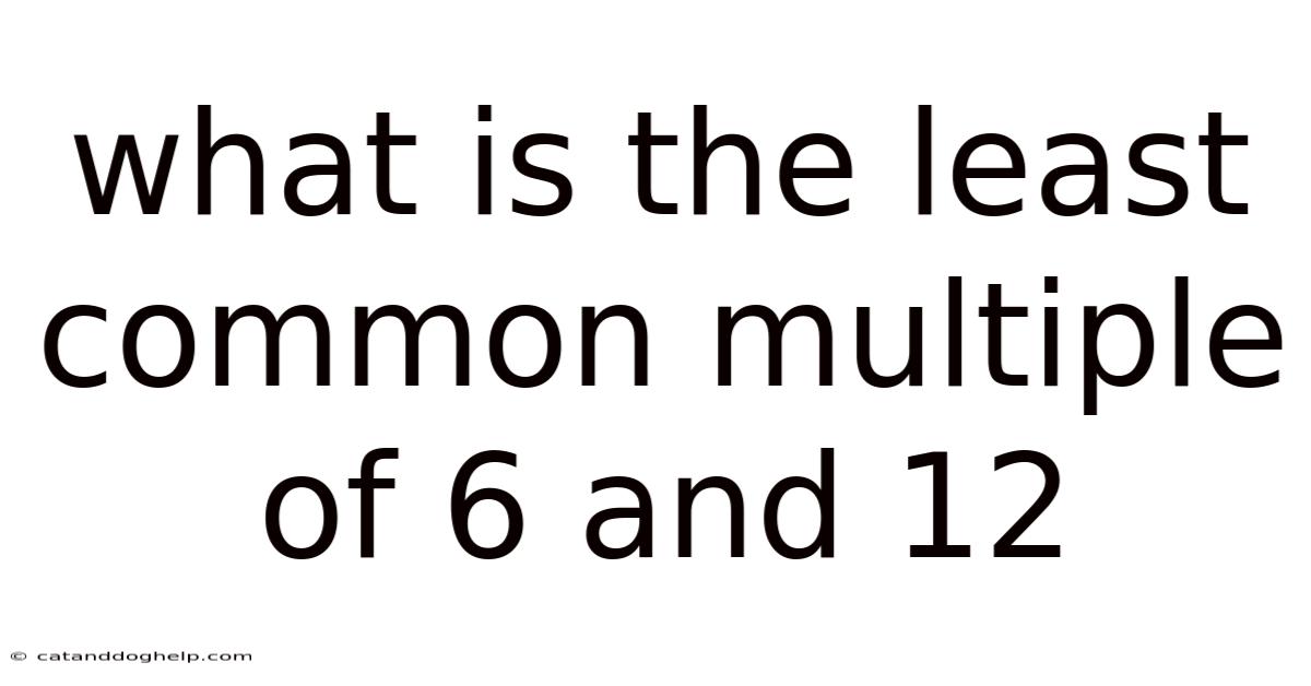 What Is The Least Common Multiple Of 6 And 12