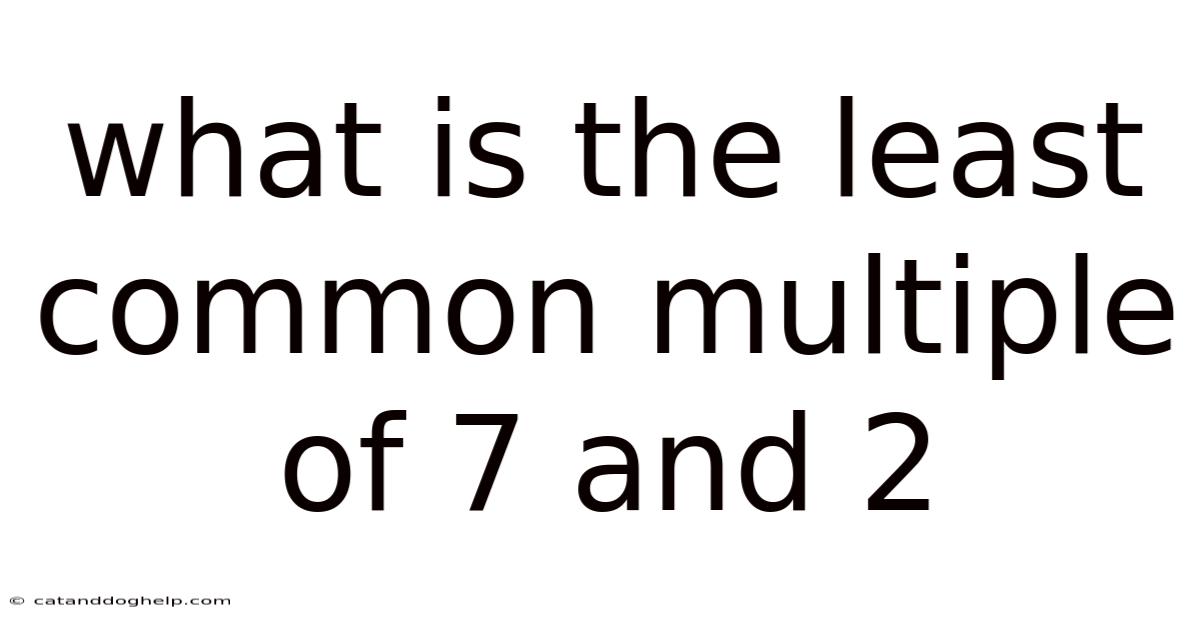 What Is The Least Common Multiple Of 7 And 2