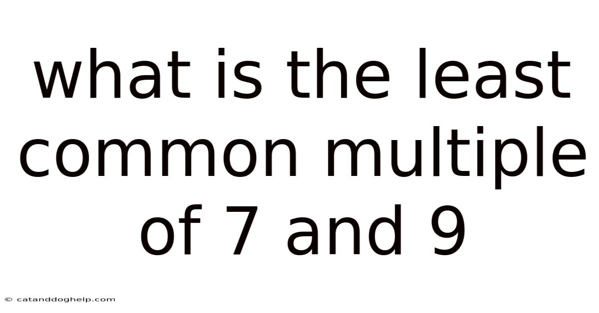 What Is The Least Common Multiple Of 7 And 9