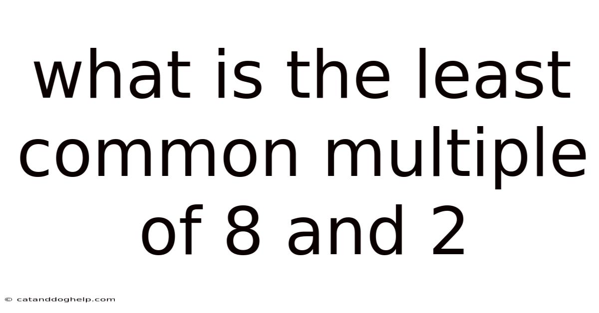 What Is The Least Common Multiple Of 8 And 2