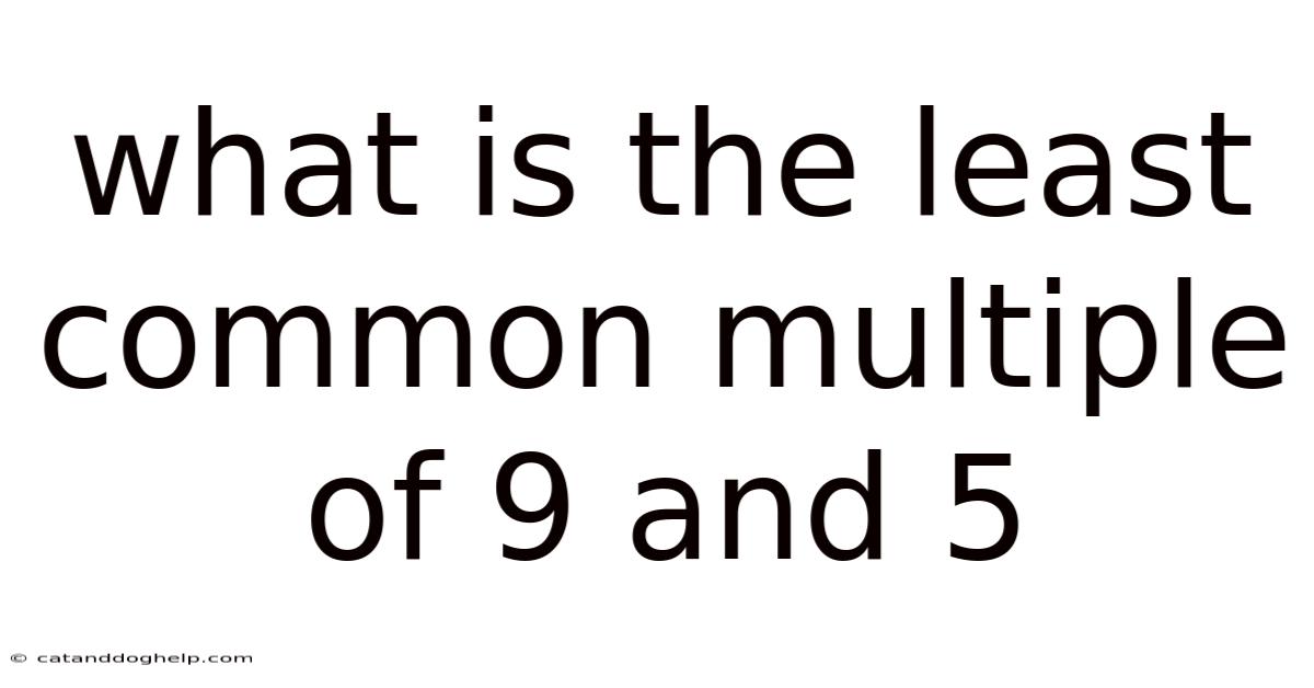 What Is The Least Common Multiple Of 9 And 5