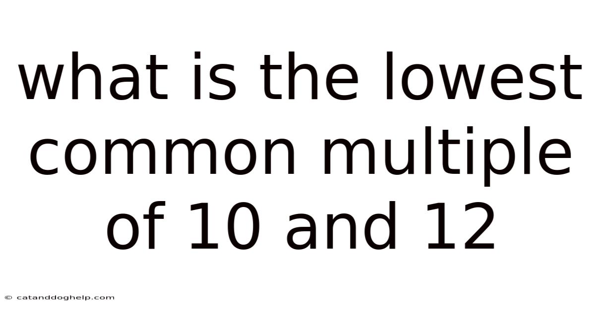 What Is The Lowest Common Multiple Of 10 And 12