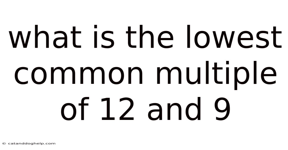 What Is The Lowest Common Multiple Of 12 And 9