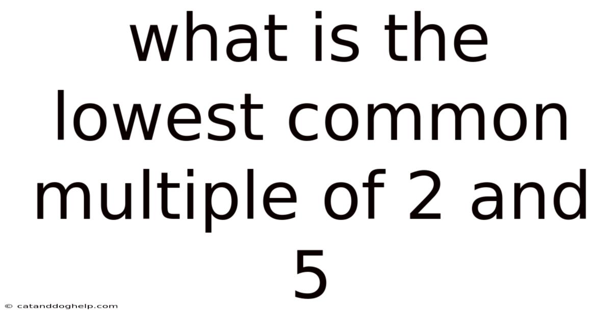 What Is The Lowest Common Multiple Of 2 And 5