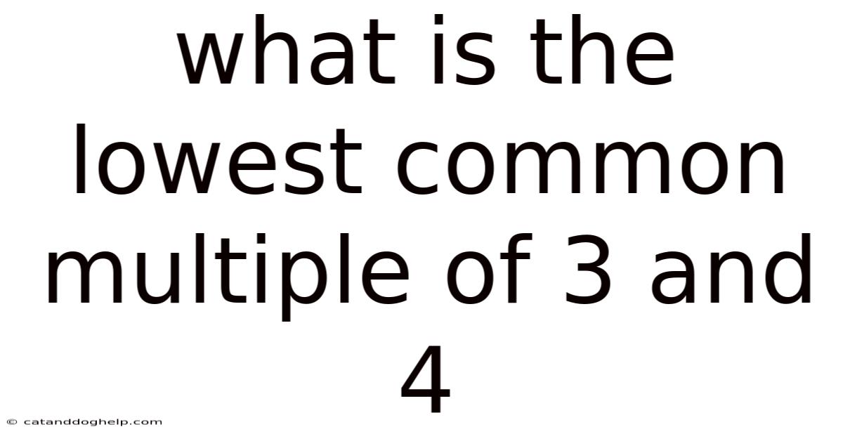 What Is The Lowest Common Multiple Of 3 And 4