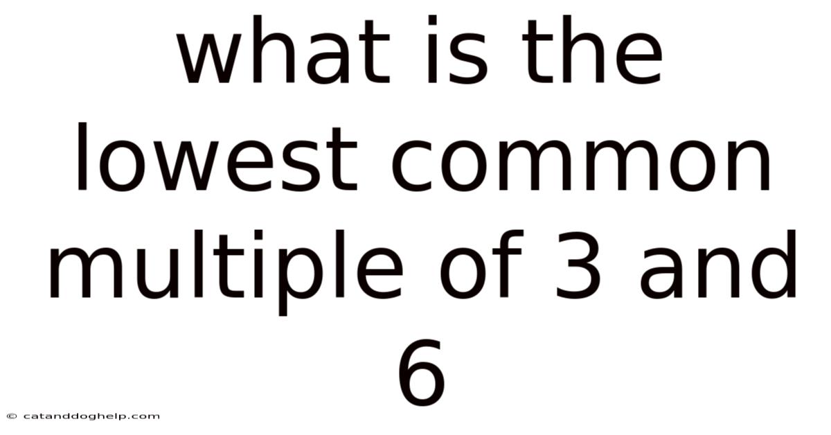 What Is The Lowest Common Multiple Of 3 And 6