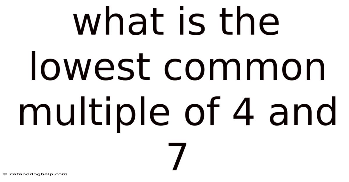 What Is The Lowest Common Multiple Of 4 And 7