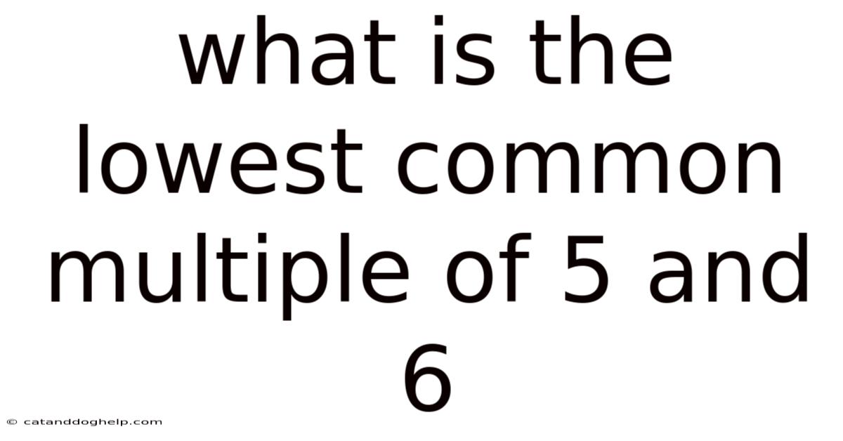 What Is The Lowest Common Multiple Of 5 And 6