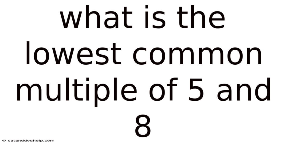 What Is The Lowest Common Multiple Of 5 And 8