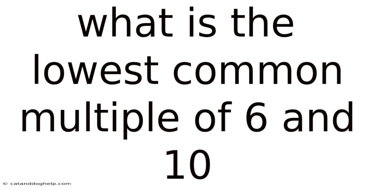 What Is The Lowest Common Multiple Of 6 And 10