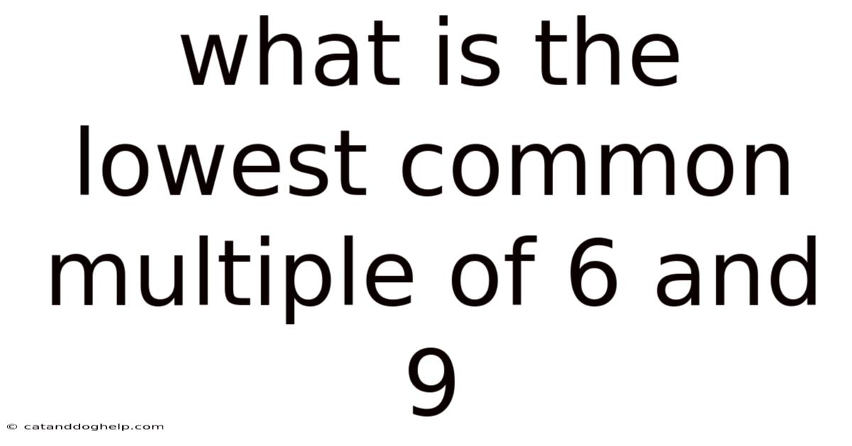 What Is The Lowest Common Multiple Of 6 And 9