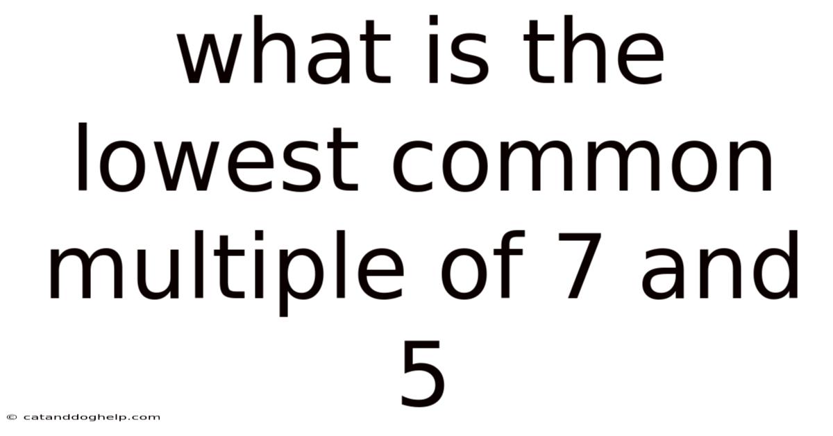 What Is The Lowest Common Multiple Of 7 And 5