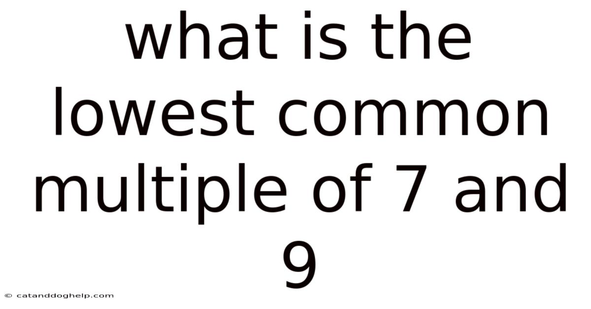 What Is The Lowest Common Multiple Of 7 And 9