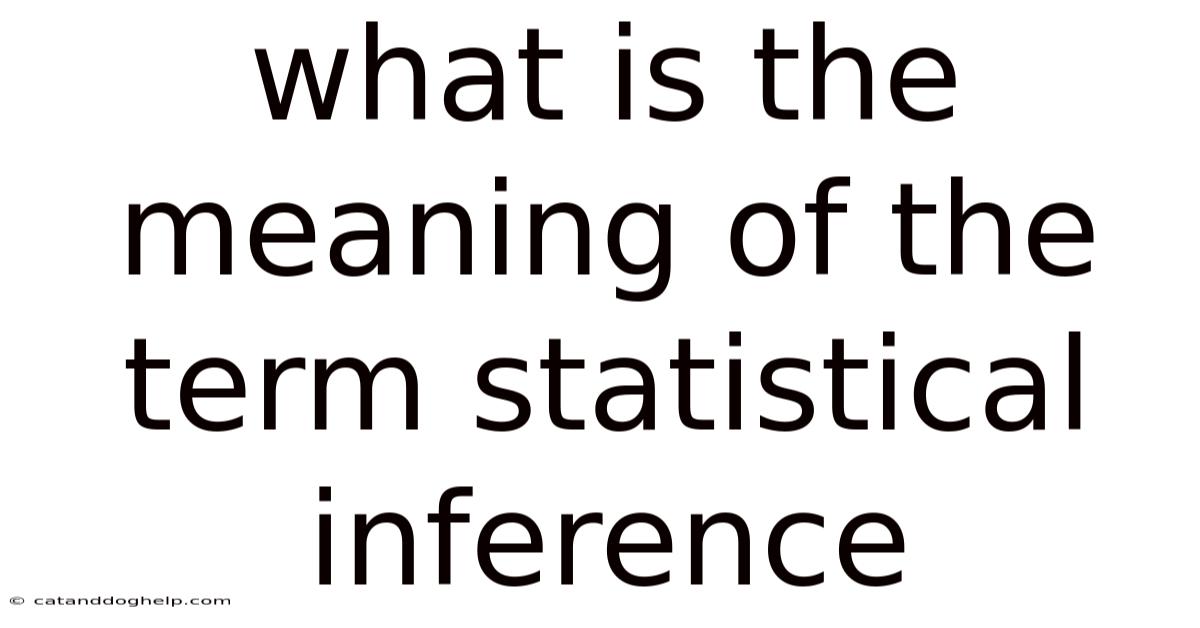 What Is The Meaning Of The Term Statistical Inference