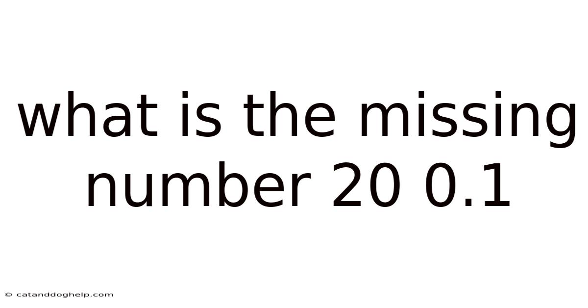 What Is The Missing Number 20 0.1