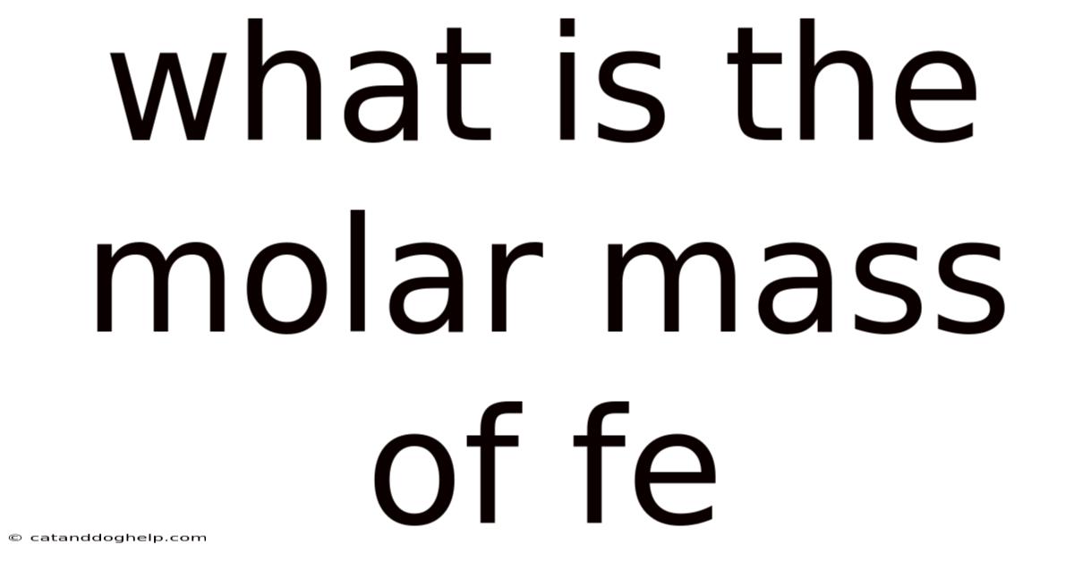 What Is The Molar Mass Of Fe