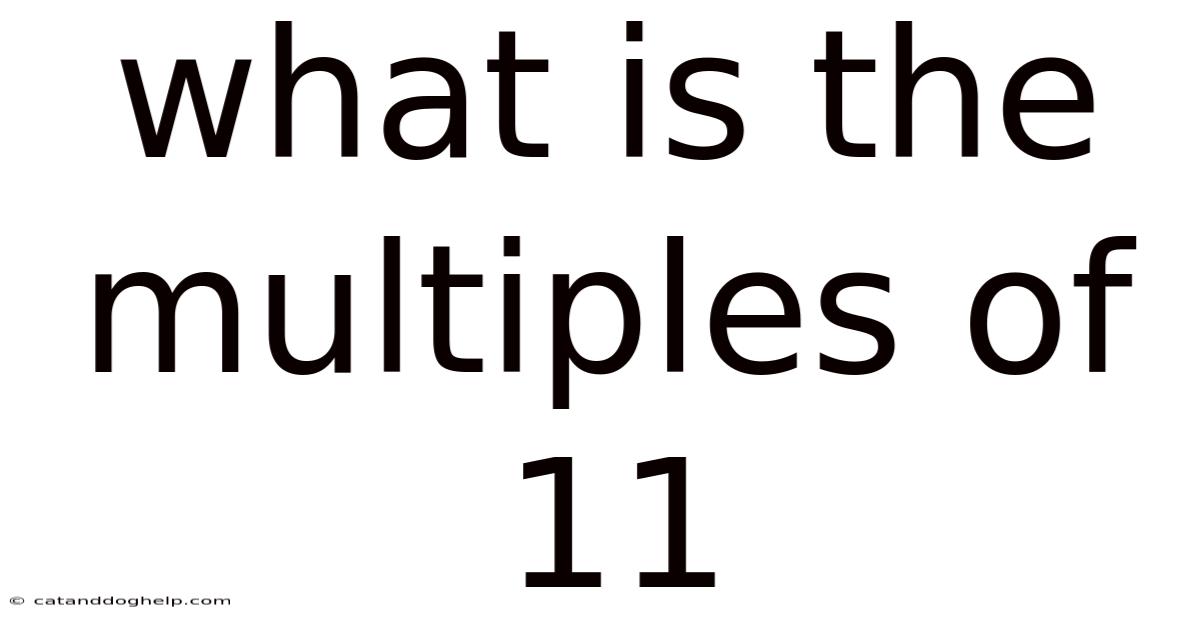 What Is The Multiples Of 11