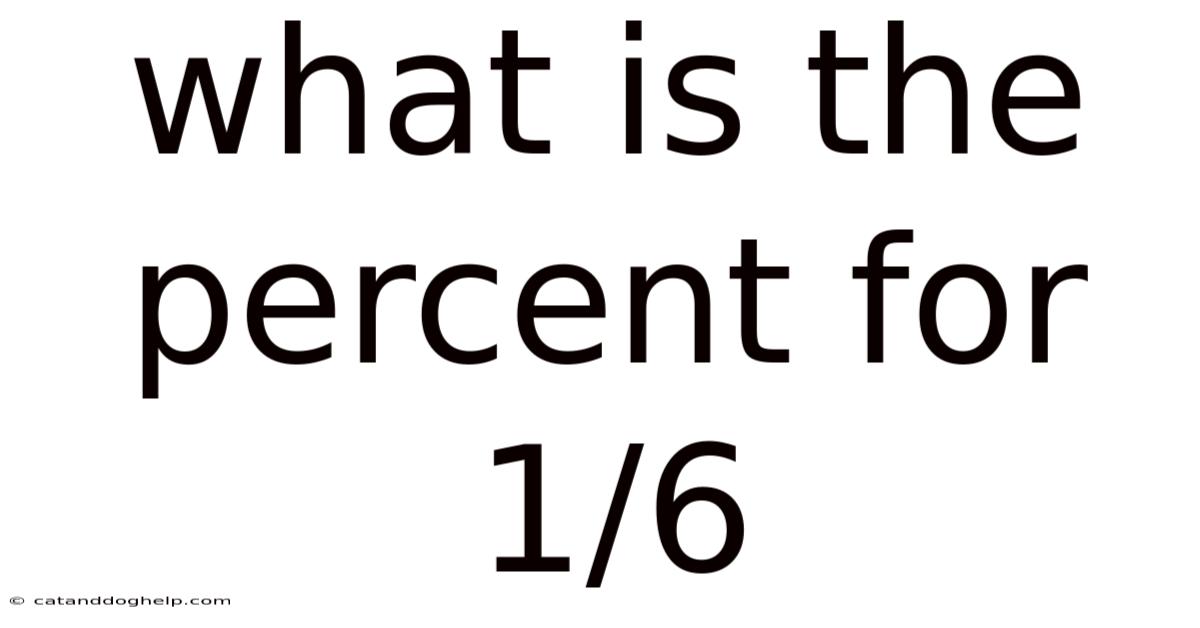What Is The Percent For 1/6