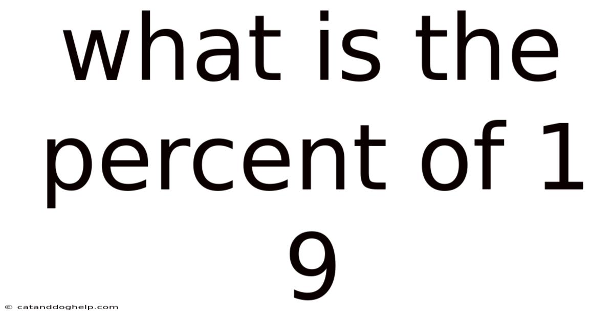 What Is The Percent Of 1 9
