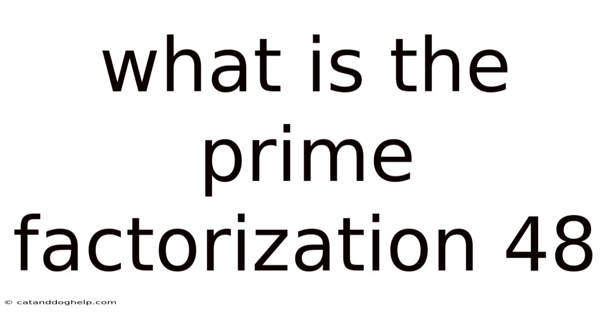 What Is The Prime Factorization 48