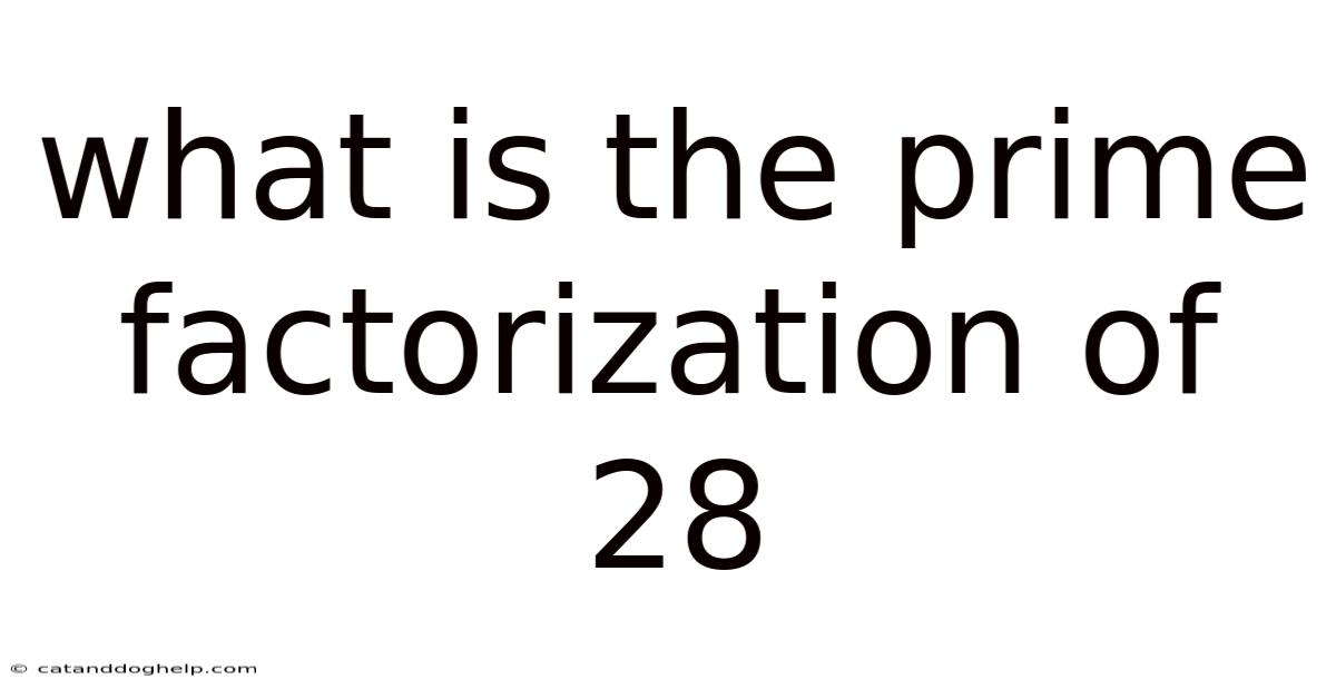 What Is The Prime Factorization Of 28