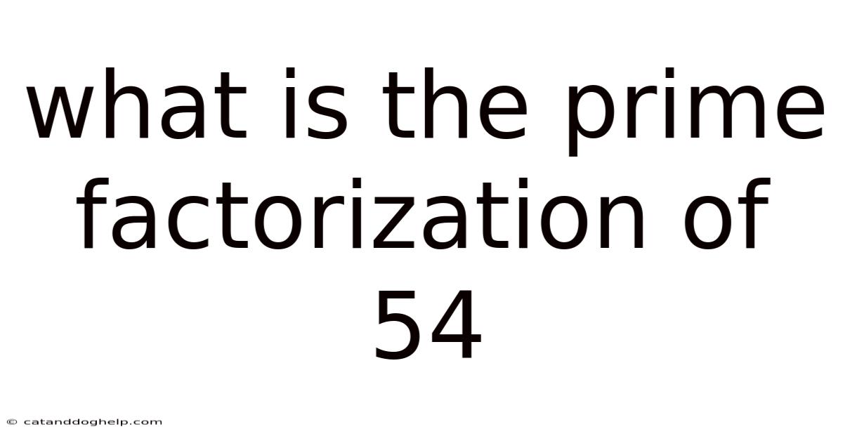 What Is The Prime Factorization Of 54