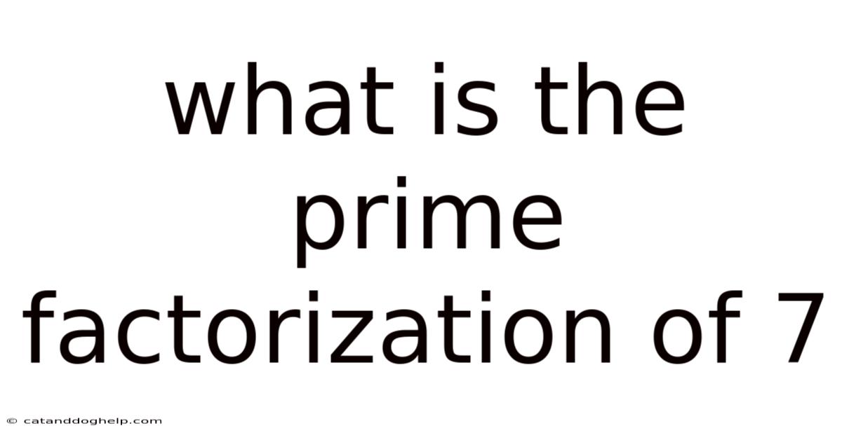 What Is The Prime Factorization Of 7