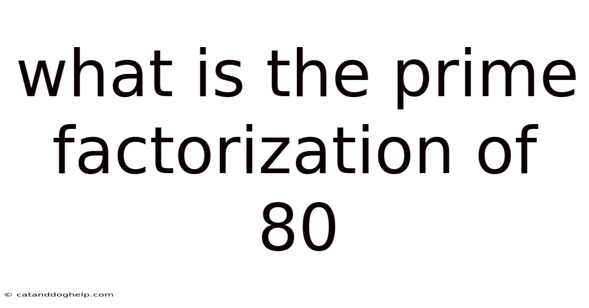 What Is The Prime Factorization Of 80