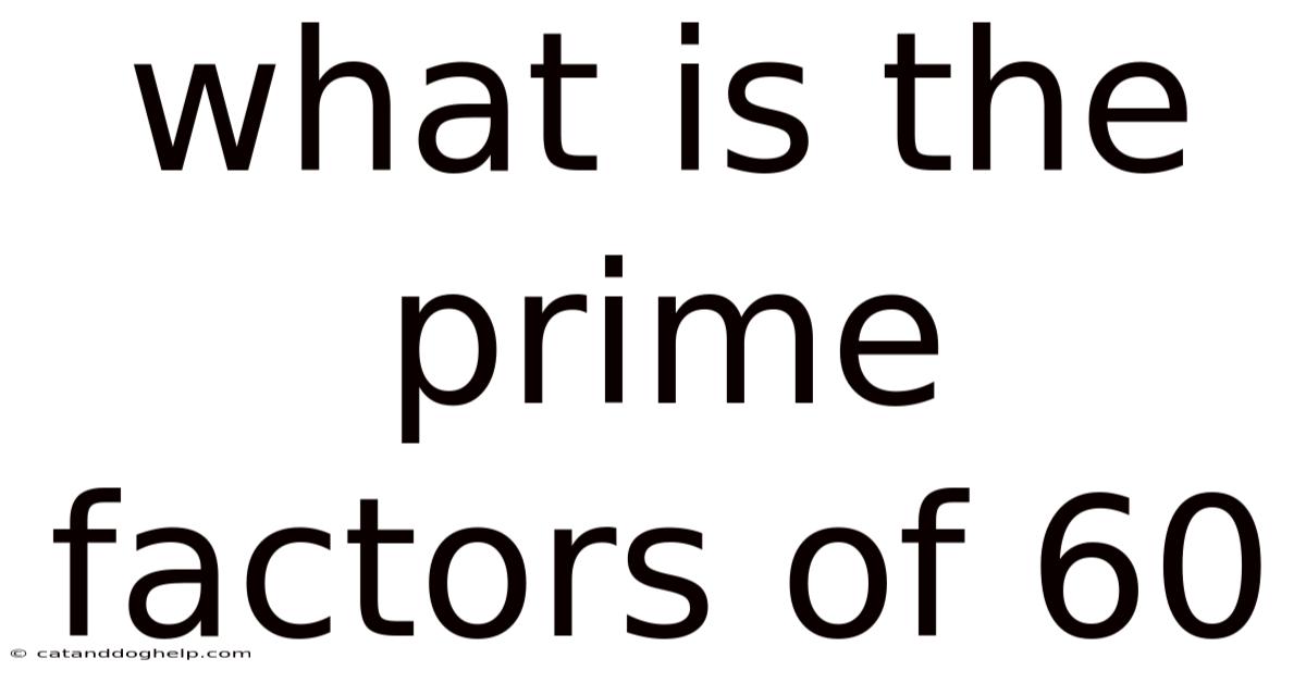 What Is The Prime Factors Of 60