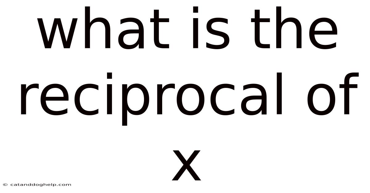 What Is The Reciprocal Of X