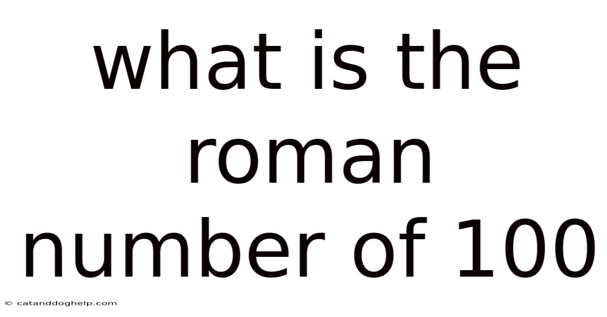 What Is The Roman Number Of 100