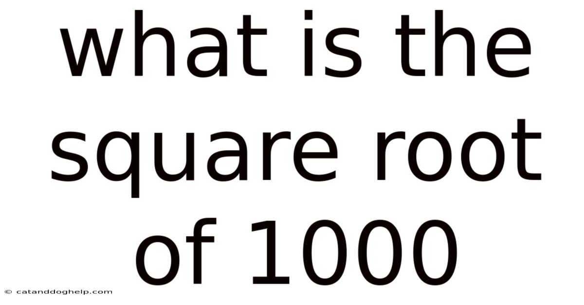 What Is The Square Root Of 1000