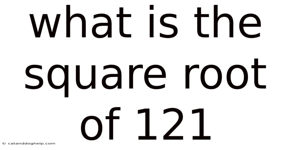 What Is The Square Root Of 121