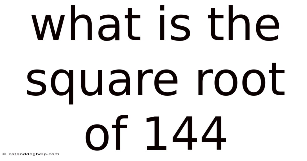 What Is The Square Root Of 144