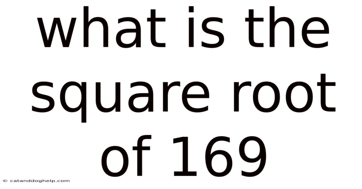 What Is The Square Root Of 169