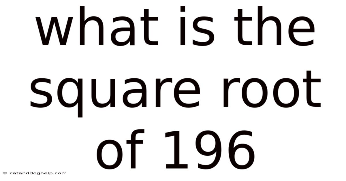 What Is The Square Root Of 196