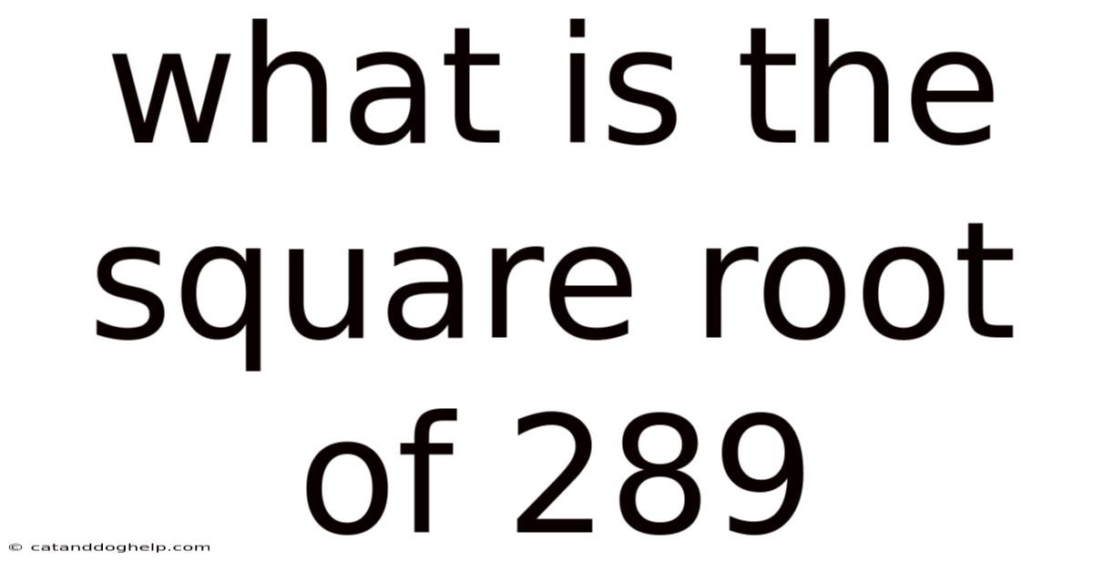 What Is The Square Root Of 289