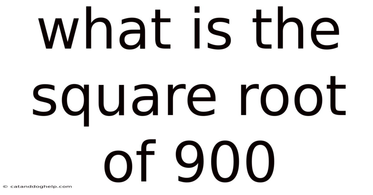 What Is The Square Root Of 900
