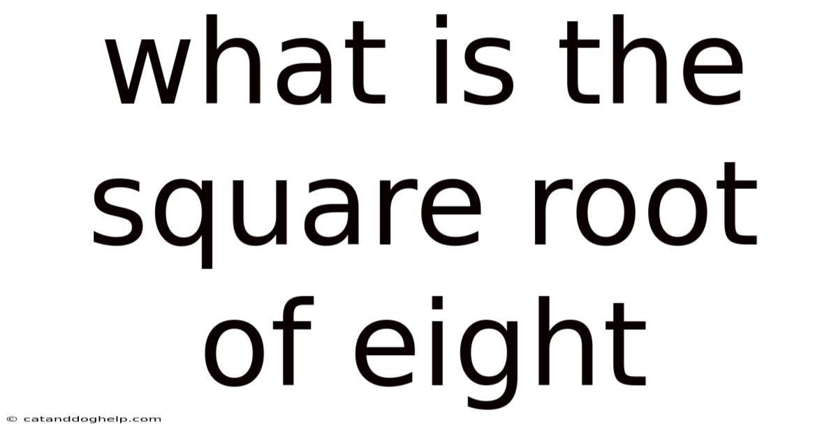 What Is The Square Root Of Eight
