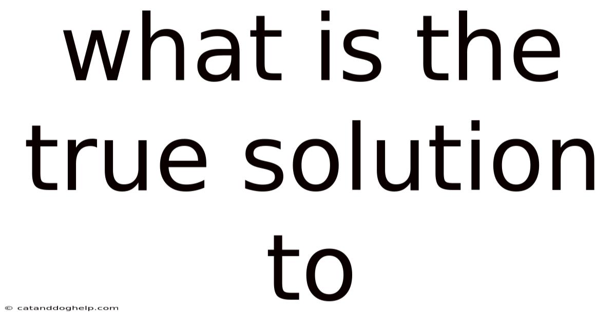 What Is The True Solution To