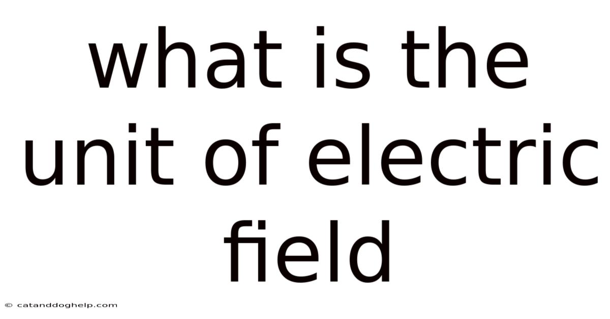 What Is The Unit Of Electric Field