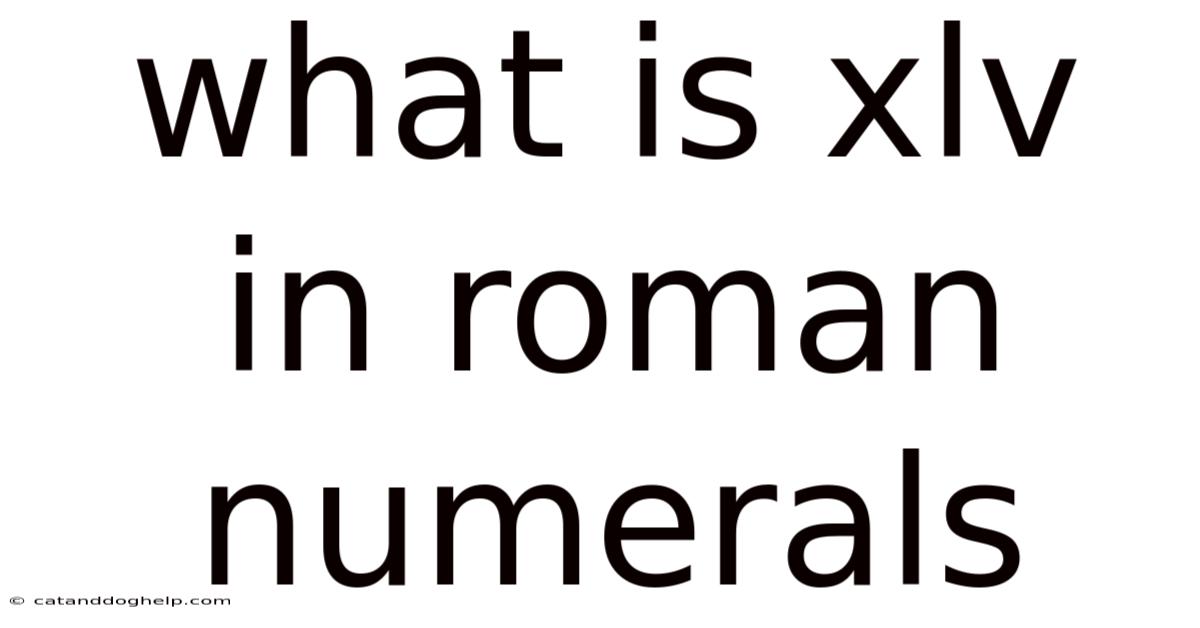 What Is Xlv In Roman Numerals
