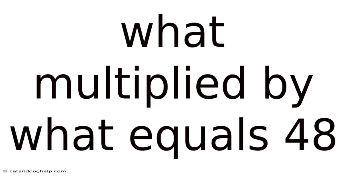 What Multiplied By What Equals 48