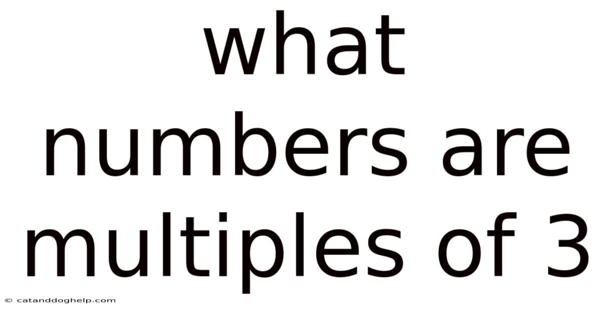 What Numbers Are Multiples Of 3