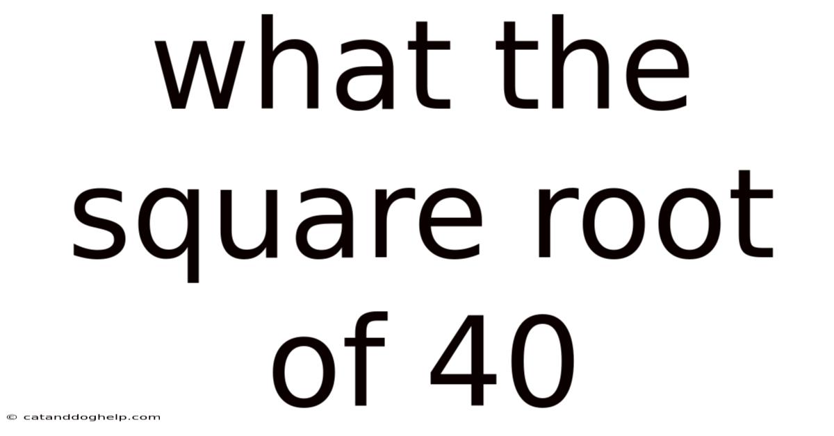 What The Square Root Of 40